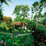 Tropische tuin